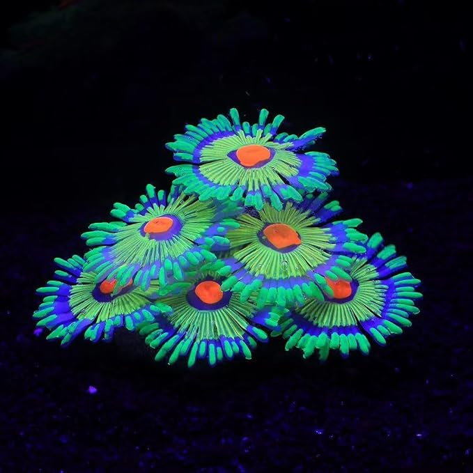 ZtohPyo Glowing Effect Fish Tank Aquarium Decorations, Artificial Silicone Plants Ornaments for Fish Tank Landscape Decor Glow in The Dark Soft Anemone for Small Fish Bowl Decor