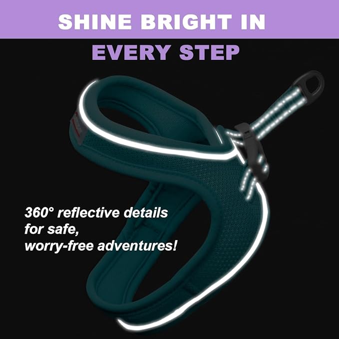 Cat Harness and Leash Set,Escape Proof Kitten Harness,Step in Adjustable Soft Lightweight,Easy Control,Reflective Strips Comfortable for Walking Travel(Ocean Blue,M)
