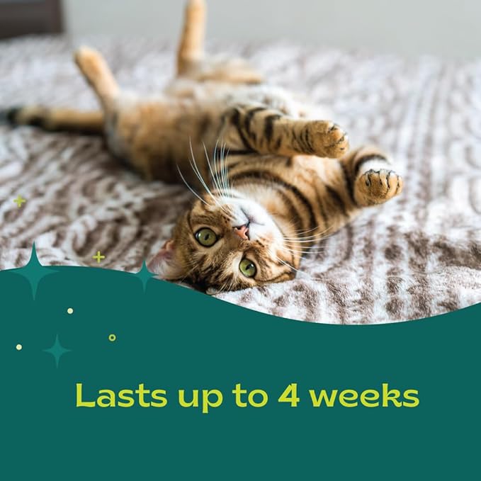 Pheromone Calming Collar for Cats Up to 30 Days Stress Relief Promotes Calmness, Reduces Hiding, Excessive Meowing, Urine Marking, Aggression, Travel Stress Drug-Free, Vet-Tested