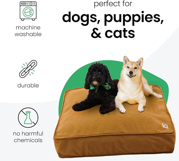 Molly Mutt Fast Car Dog Bed Duvet Cover, GOTS-Certified 100% Cotton Canvas Cover for Dog, Puppy, or Cat Bed, Durable, Washable, and Free of Harmful Chemicals, Small, 22"x27"x5", Mustard Yellow