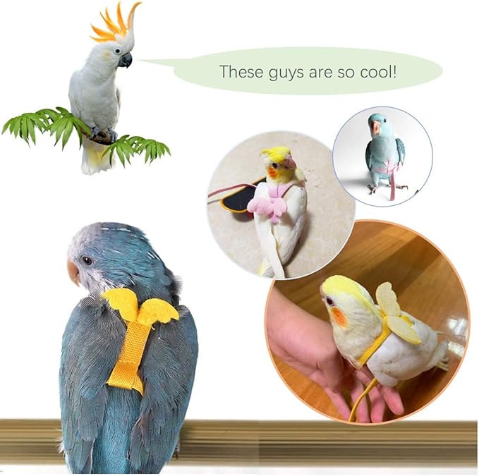 Bird Harness Leash Kit for Walking, Durable Outing Gadget Adjustable Flying Training Rope Strap, Traction Rope for Parrot, Cockatiel, Parakeet, Lory, Conure..