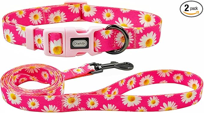 Dog Collar and Leash Set, Cute Pink Daisy Pattern, Polyester Material, 5ft Leash, for Medium Dogs.(M, Daisy Set)