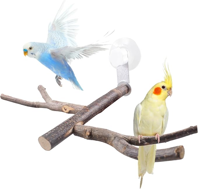 SnowTing Shower Perch Platform with Suction Cups for Bird, Small and Medium Bird Parrot Parakeet African Grey Window Wall Bath Stand Wood Window Perch (Two-Y-Type)