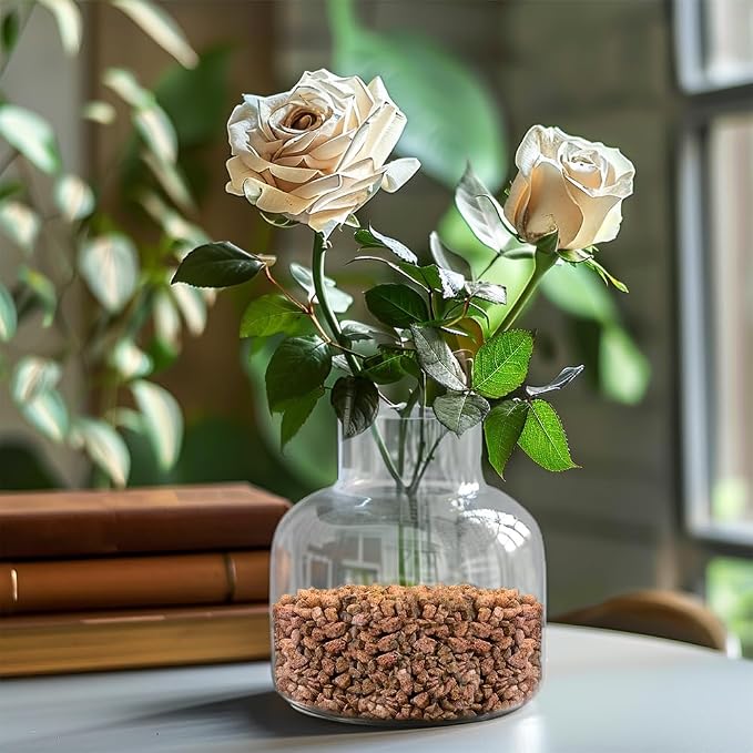 0.88 LB Brown Decorative Succulent Cactus Gravel,Terrarium Small Rocks | Indoor Plants Orchid Soil Cover Stones,Candle Holder Vase Filler Decor Pebbles,2-5mm