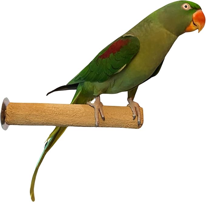 Polly's Pastels Nail Trimming & Beak Conditioning Safety Perch for Cockatiels, Cockatoos, Macaws, Parakeets, Budgies, Parrots and All Other Birds (Brown, Medium-1 1/4" Dia. x 8" Long)