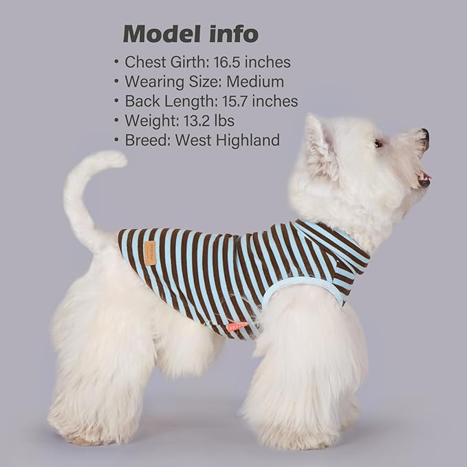 KYEESE 2Pack Dog Sweater Warm Pet Coats Pullover Dog Sweaters for Small Dogs Male Stretchy Pets Clothes Soft Pet Sweatshirt Turtleneck Dogs Clothes