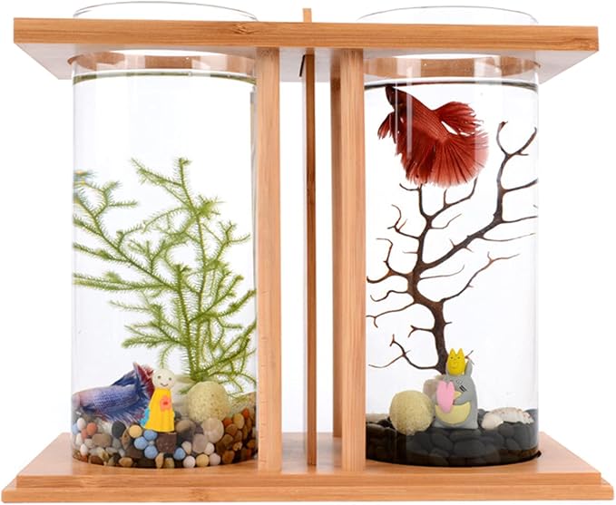 Creative Bamboo Wood Ecological Fish Tank Dual Glass Desktop Mini DIY Goldfish Betta Fish Tank Micro Landscape Tank Aquarium Small Fish Tank
