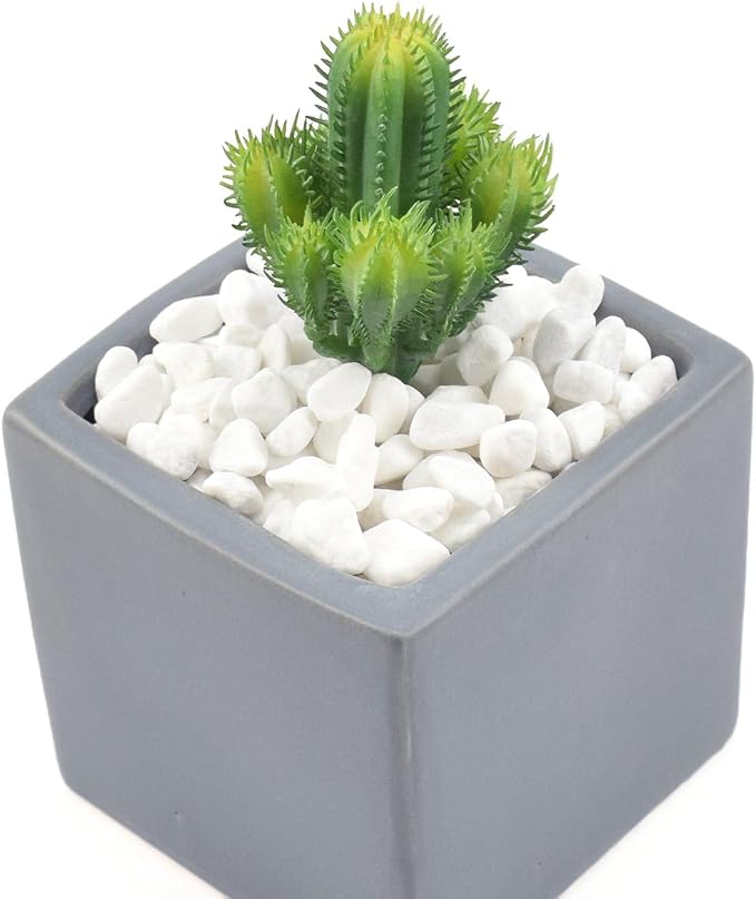 1 Lb/460g White Stones Decorative Pebble Rock Sand for Aquarium/Fish Turtle Tank/Vase Filler/Succulent Plants Decoration (Fill 1 Cup)