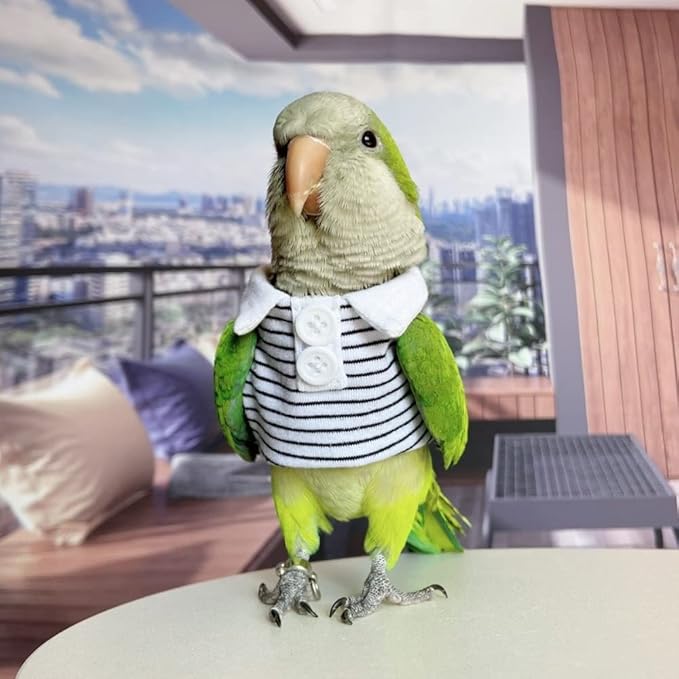Bird Diaper Flight Suit for Parrots, Lovebirds, Parakeets & Cockatiels - Summer Clothes Cosplay Photo Prop - Small Animal Apparel with Diaper