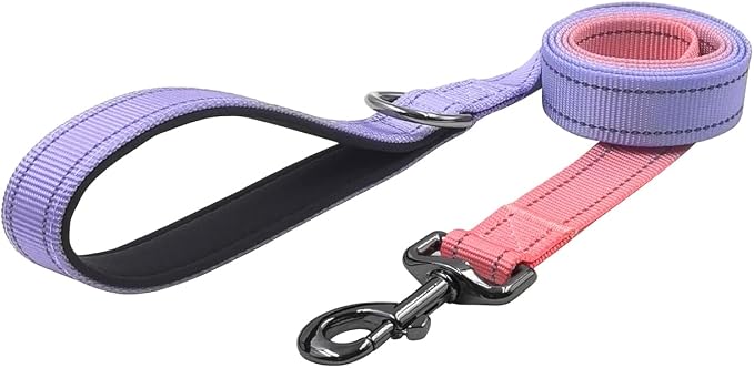 Dog Collar Leash Set, Gradient Color, with Safety Reflective Strips, 5 ft Matching Leash, Neoprene Padded Handle, Adjustable 4 Sizes for Small Medium Large Dogs.(S, Lilac Pink)