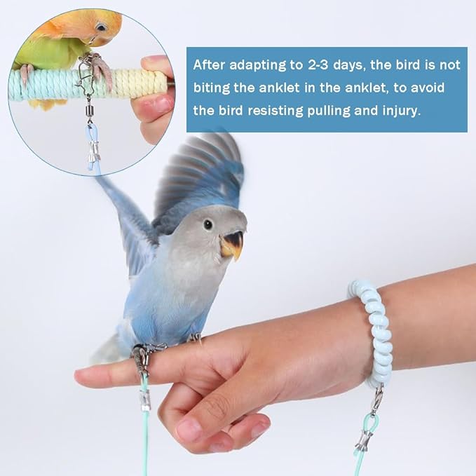 OULIGET Parrot Flying Training Rope with 5 Size Bird Foot Ring,Outdoor Flying Kit Bird Traction Rope,Training Toy Prevent Escaping for Cockatiels Birds Pigeon