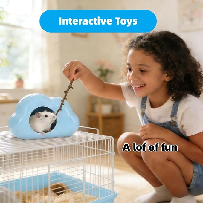 Cloud-Shaped Ceramic Hamster Hideout Cool Summer Cute Guinea Pig Bed House for Dwarf Hamsters, Mices, Gerbils (Blue,XL)