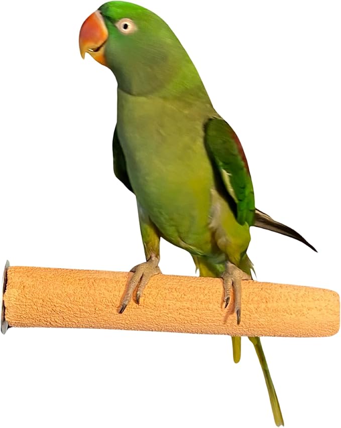 Polly's Pastels Nail Trimming & Beak Conditioning Safety Perch for Cockatiels, Cockatoos, Macaws, Parakeets, Budgies, Parrots and All Other Birds (Coral, Large-1 1/2" Dia. x 9" Long)