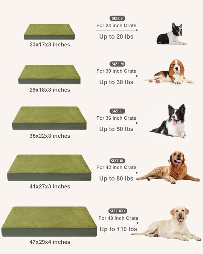 KSIIA Orthopedic Dog Bed Crate Waterproof Pet Mats for Small Dogs Deluxe Plush Washable Pet Bed with Egg Crate Foam & Removable Cover, 23 x 17 Inch, Green