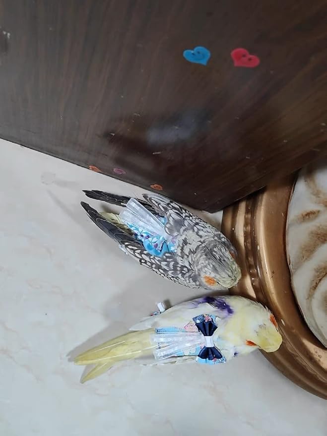 Bird Flight Suits Diapers, Parrot Diapers for Monk Parakeets, Cockatiels, Parrot Clothes Costume, Bird Training Nappy Suit Liners Clothes (Medium,Blue-C)