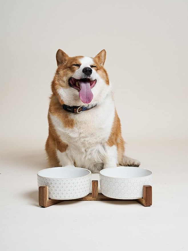 LE TAUCI Dog Bowls Ceramic for Small Medium Dogs - 3-Cup Dual Food & Water Bowl Set with Acacia Wood Stand, Non-Slip Anti-Tip Elevated Design