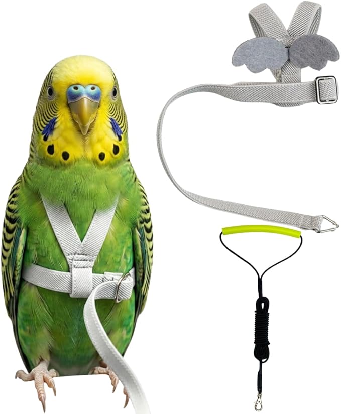 Adjustable Bird Harness with Elastic Leash, Pet Parrot Harness and Leash, Adjustable Training Design Anti-Bite, Bird Nylon Rope with Cute Wing for Conure (Grey,XS)
