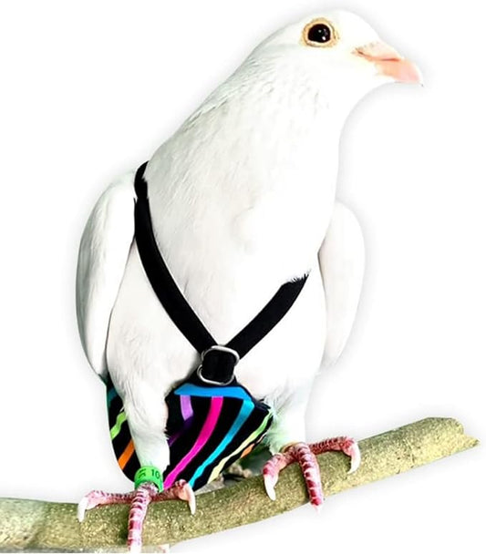 FLYPER Adjustable Mini Bird Diaper | Reusable, Washable Cloth | Comfort Fit for Parrots, Cockatiels, and Other Small Birds | Fashionable Avian Accessories Butterfly, Candy Stripe, Mini Size 9.5