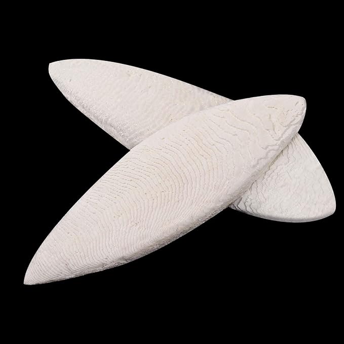 6 Pcs Natural Cuttlebone for Birds Parakeets Pure Cuttlebone Calcium Stone for Parakeets Canaries Cockatiels Tortoise Turtles Cockatiel 11-11.5cm /4.3-4.5”