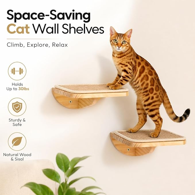 Wall Mounted Cat Steps 2 Pack – Square Wood Cats Shelves with Felt Cushions for Climbing, Jumping & Resting