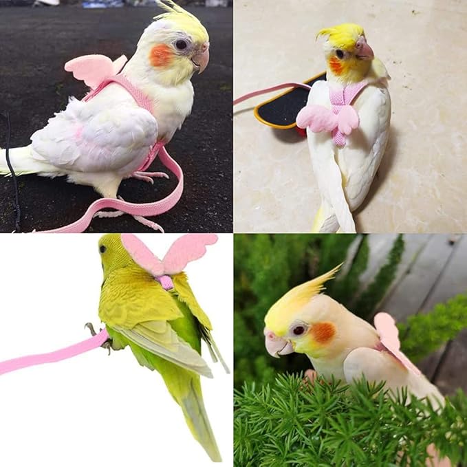Birds Adjustable Harness and Leash, Parrot Outdoor Flying Training Traction Rope Straps with Cute Wing for Small Animal, Parrots, Pigeons, Bird Flight Vest, Pet Training Leash(Pink,S)