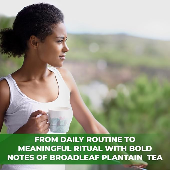 50 Bags Broadleaf Plantain Leaf Herb Tea (Plantago Majoris Folia) Plantain Leaves Tea - 50 Count 1.5 g Bags Llanten