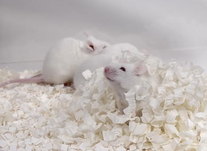 Plus Small Animal Bedding, Paper Bedding for Small Animals, Mouse, Rats, Rodent, Gerbil, Snake, 20 lbs