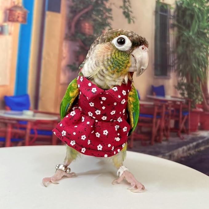 Bird Costume Bird Diaper Flight Suit Vintage Floral Dress Summer Skirt Clothes Cosplay Photo Prop for Parrots Lovebird Parakeet Cockatiel Small Animals Apparel (Green Cheek Conure)