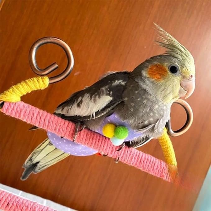 Bird Flight Suits Diapers, Parrot Flight Suits Diapers for Monk Parakeets, Cockatiels Flight Suits, Parrot Clothes, Bird Training Nappy Suit Liners Clothes (Purple-B,Quaker)