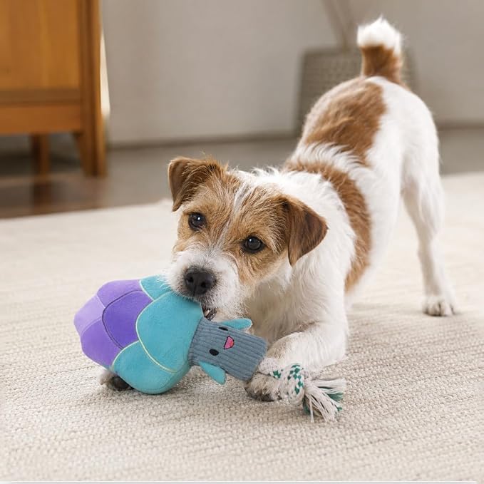 Green Sheep Interactive Plush Dog Toy, No Stuffing Squeaky Toy with Recycled Cotton Rope for Medium to Large Dogs, Asparagus