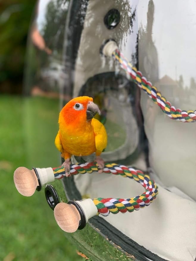 Bird Traval Carrier Cage, Polarized Tinted Brown Space Capsule Astronaut Backpack to Carry Parakeet Cockatiel Parrot with Metal Tray Bird Feed Wood Perch, Vet Transport Bag