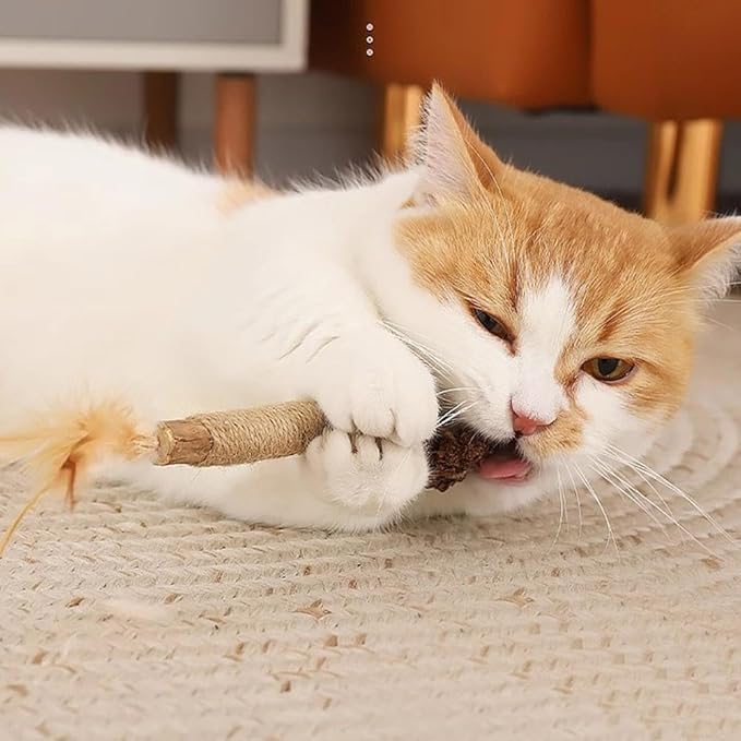 Silvervine Sticks for Cats,Cat Chew Toy for Dental Care,Silver Vine Sticks Cat,Natural Catnip Chew Toys for Kittens Teeth Cleaning,Cat Chew Sticks for Chewers,Edible Matatabi Cat Chew Sticks Toys