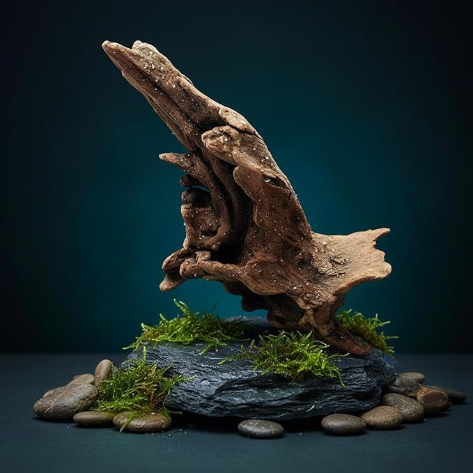 Natural Driftwood Tree Decoration for Aquarium, Fish Tank Plant Stump Ornament, Random Style(5-10cm)