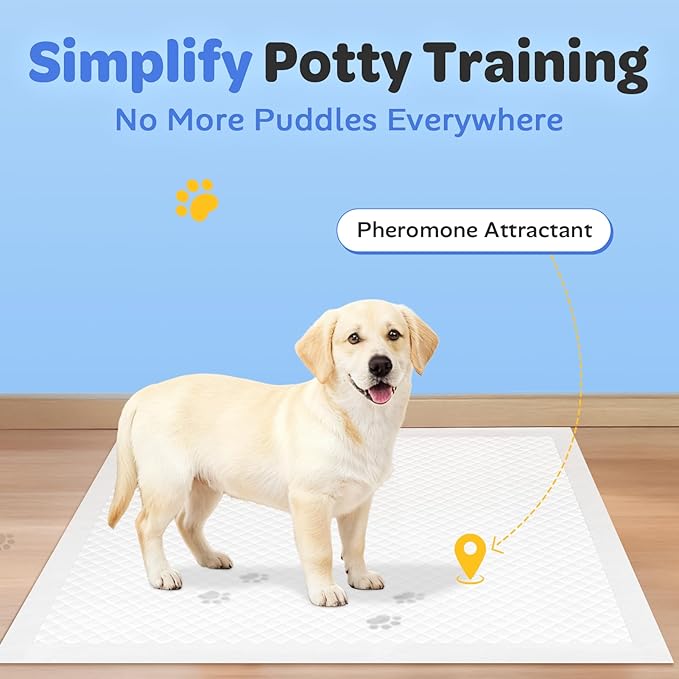 50 Count 28" x 34" Disposable Puppy Pads, Super Absorbent Dog Pee Pads with Anti-Slip Adhesive Tabs, Quick-Dry, Leak-Proof, Odor Control Training Pads for Dogs & Pets, X-Large