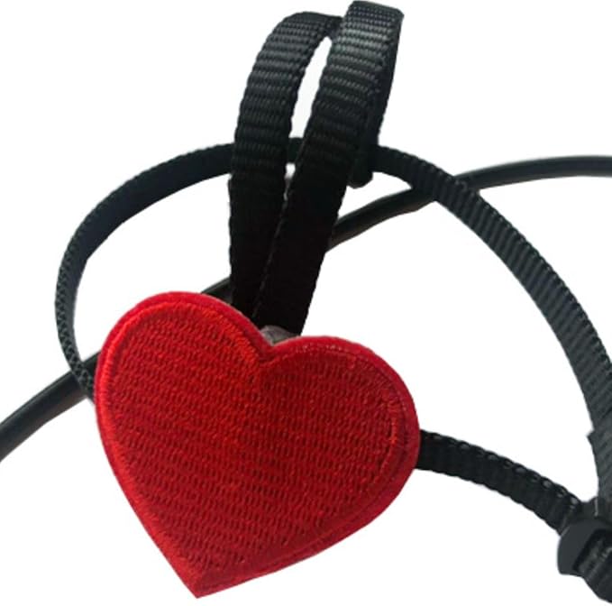 Adjustable Birds Harness and Leash Parrot Harness Leash Training Supplies Pet Anti-bite Outdoor Flying Rope for Conures Budgerigar Lovebird Cockatiel Mynah (XS)