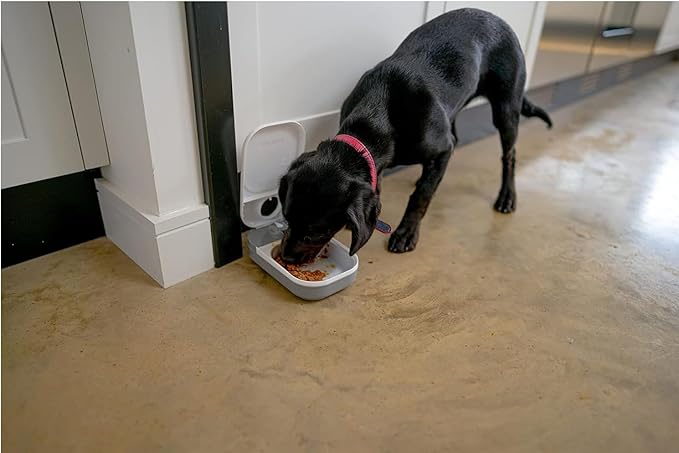 CAT Mate C100 Automatic Dog and CAT Feeder