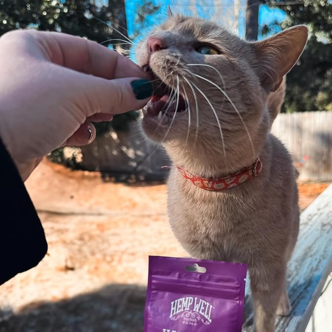 Hemp Well Cat Hairball Soft Chews for Cats, Hairball Control & Digestive Support, Organic Hemp Seed Powder, Pumpkin Seed & Psyllium Fiber, Skin & Coat Support, Chicken Cheese & Catnip Flavor, 60 Ct