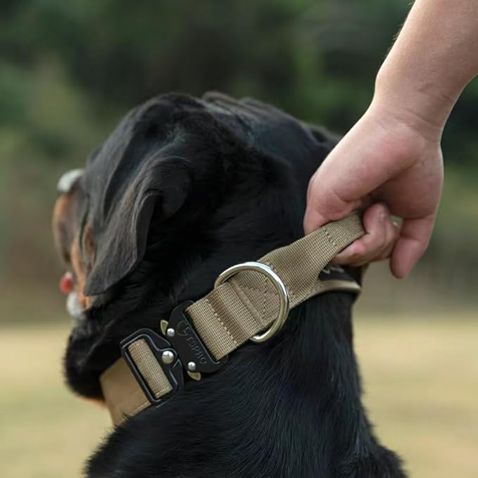 TSPRO Premium Dog Collars Tactical Dog Collar with Handle and Heavy Duty Quick-Release Metal Buckle Durable Thick and Adjustable for Medium to Large Dogs (Green L)