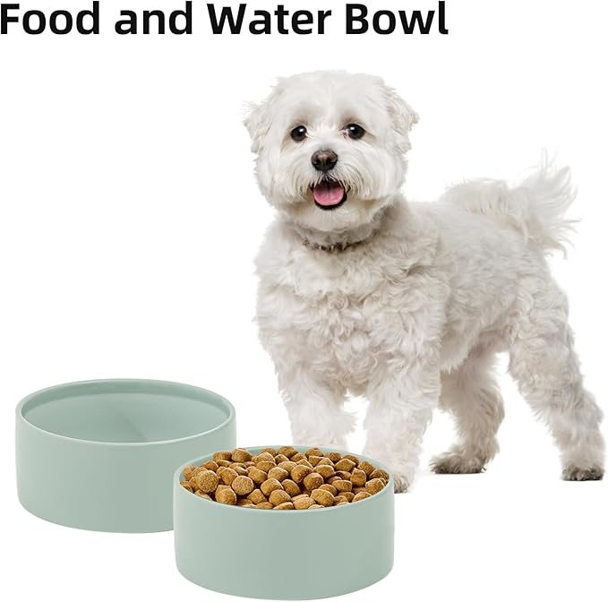 Havniva Ceramic 6.1inch Dog Bowls for Small and Medium Breed Dog Dish Pet Food and Water Bowl (Set of 2 Bowls - Light Green, 28oz)