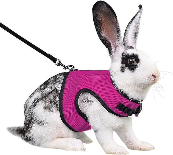 Rabbit Harness and Leash,Guinea Pig Escape Proof Bunny Harness and Leash Set, Cute Bunnies Vest Clothes Stuff Walking Ferret Kitten Puppy Small Pet Animals,Hot Pink L