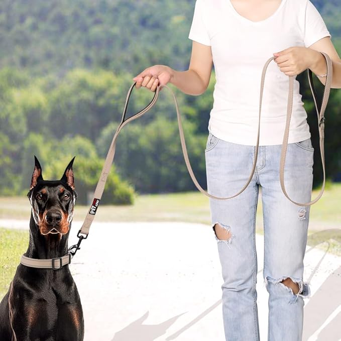 Plutus Pet Double Handle Dog Leash 4ft, Heavy Duty, Reflective Dual Handle Dog Leash for Safety Training, for Medium Large Dogs,2 Handle Leads(Beige)