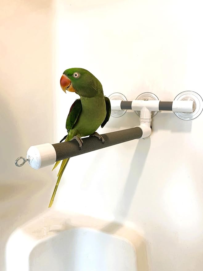 Polly's Portable Window-Shower Perch with Suction Cups for Cockatiels, Macaws, African Greys (Deluxe, Large)
