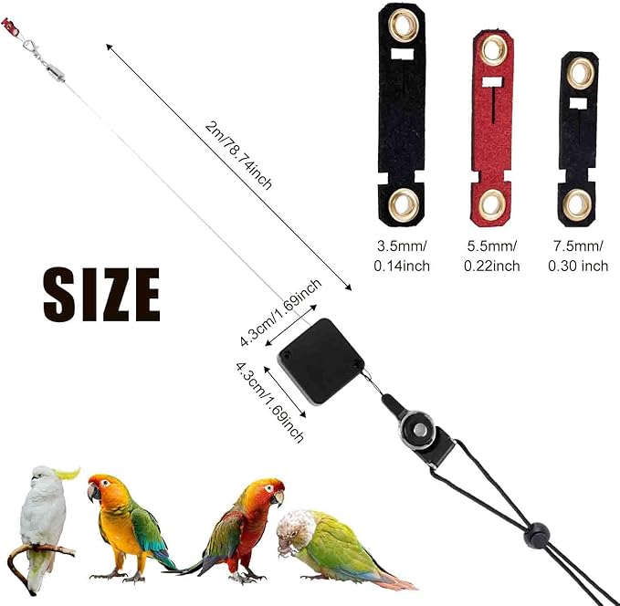 Retractable Bird Harness, 6.56ft Training Leash with 3 Sizes of Foot Rings - Parakeet & Parrot Leash Kit for Cockatiels, Budgies (Black)