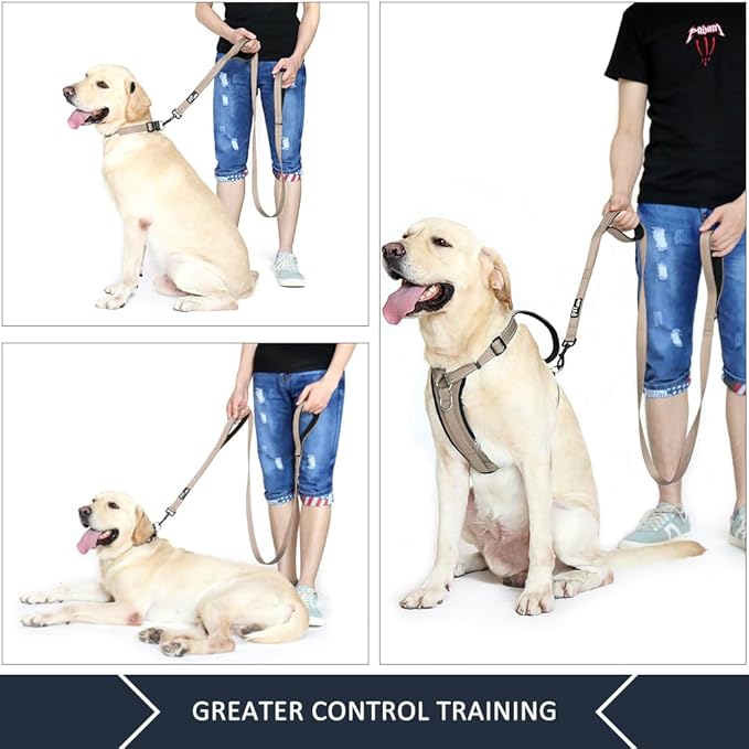 Plutus Pet Double Handle Dog Leash 5ft, Heavy Duty, Reflective Dual Handle Dog Leash for Safety Training, for Medium Large Dogs,2 Handle Leads(Beige)