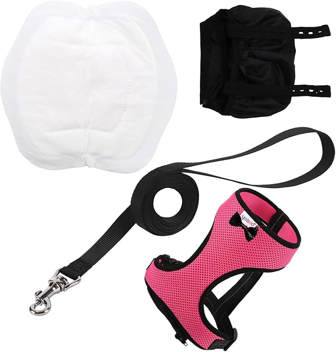 Adjustable Chicken Harness & Diaper with 5.4ft Leash | Escape-Proof Breathable Mesh | Outdoor Walking Training for Hens Ducks & Chicks | Stop Droppings & Feather Mess
