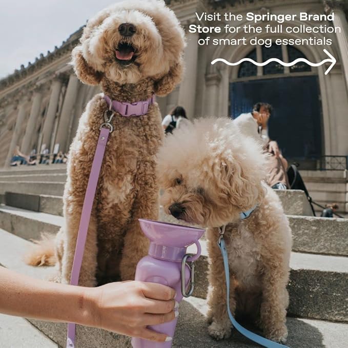 Springer Dog Water Bottle | Portable Travel Drinking Feeder Dispenser for Dogs & Puppies | As Seen on Shark Tank | Leak-Proof Bowl | BPA-Free | Outdoor Walking, Hiking & Travel | 15oz Blue