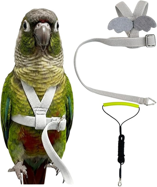 Adjustable Bird Harness with Elastic Leash, Pet Parrot Harness and Leash, Adjustable Training Design Anti-Bite, Bird Nylon Rope with Cute Wing for Conure (Grey,M)