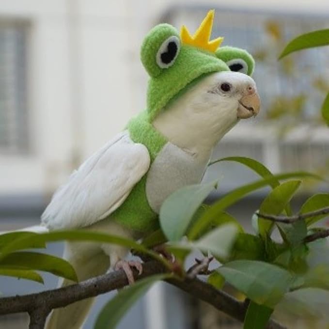 Bird Costume Diaper Flight Suit Frog Shape Hoodie Clothes Cosplay Photo Prop for Parrots Parakeet Cockatiel Sun Conure, Small Animals Apparel (Pink Without Diaper, Large), Green