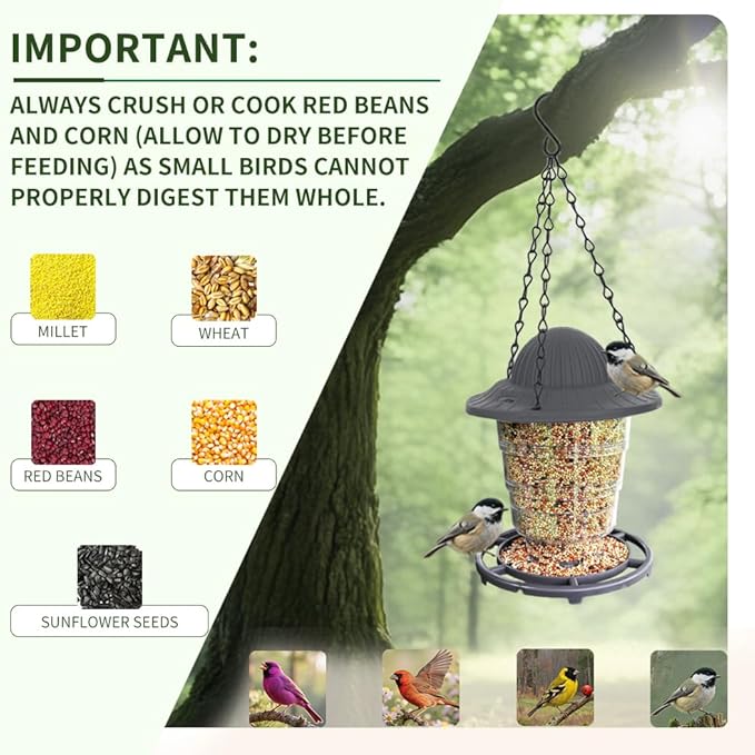 Small Bird Feeder - Durable Plastic Design, Easy Fill & Clean, Attracts Finches & Songbirds, Great for Outdoor Use in Yards, Porches and Decks