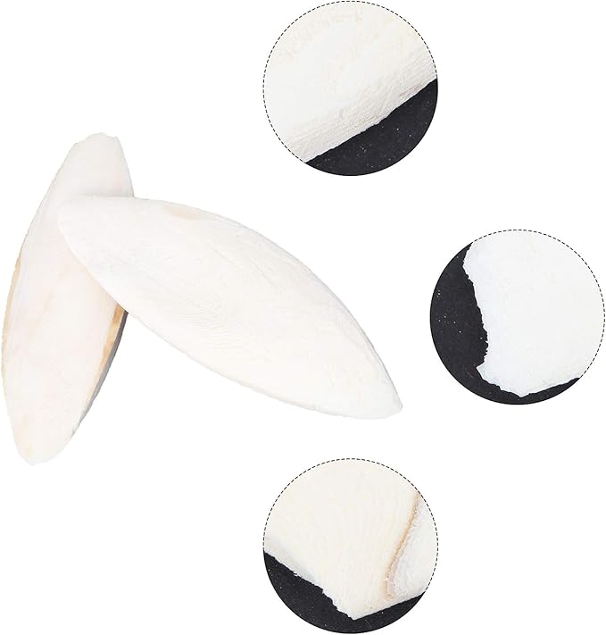 Baluue 12pcs Bird Cuttlebone Chew Toy Cuttlefish Bones Parrot Cage Toys Bird Bite Toy for Aquarium Reptile Tortoise Turtle Cockatiel 10cm